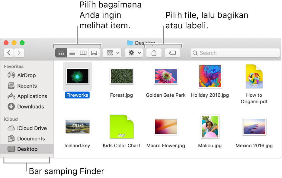 Melihat Dan Mengatur File Anda Di Finder Di Mac Apple Support