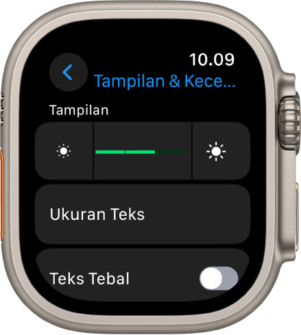 Menyesuaikan Kecerahan Ukuran Teks Bunyi Dan Haptik Di Apple Watch