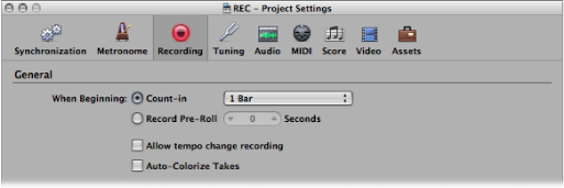 Figure. Recording project settings pane.