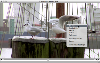 Figure. Movie window showing image formats in the shortcut menu.