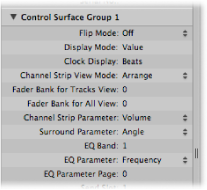 Figure. Picture of Control Surface Group display parameters.
