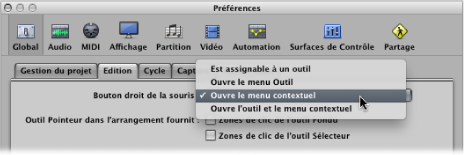 Figure. Right Mouse Button menu in the Editing pane in the General preferences.