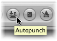 Figure. Autopunch button in the Transport bar.