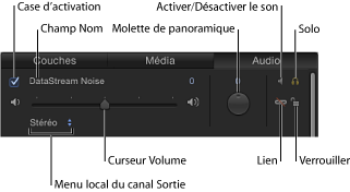 Figure. Audio tab showing Activation checkbox, name field, Level and Pan sliders, Mute and Solo buttons, Output Channel pop-up menu, and lock and link icons.