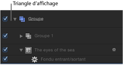 Fgure. Group disclosure triangle in the Timeline tab.
