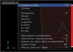 Figure. Canvas window showing Camera menu.