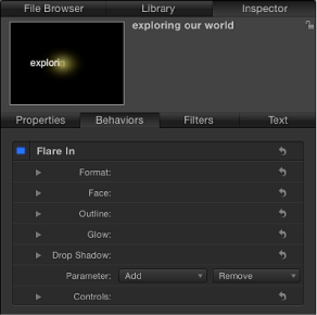 Figure. Inspector showing settings for Flare In behavior.