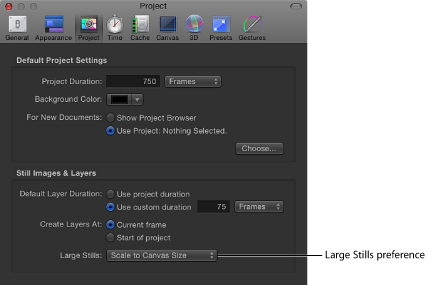 Figure. Preferences window showing Project pane with Large Stills pop-up menu set to Scale to Canvas Size.