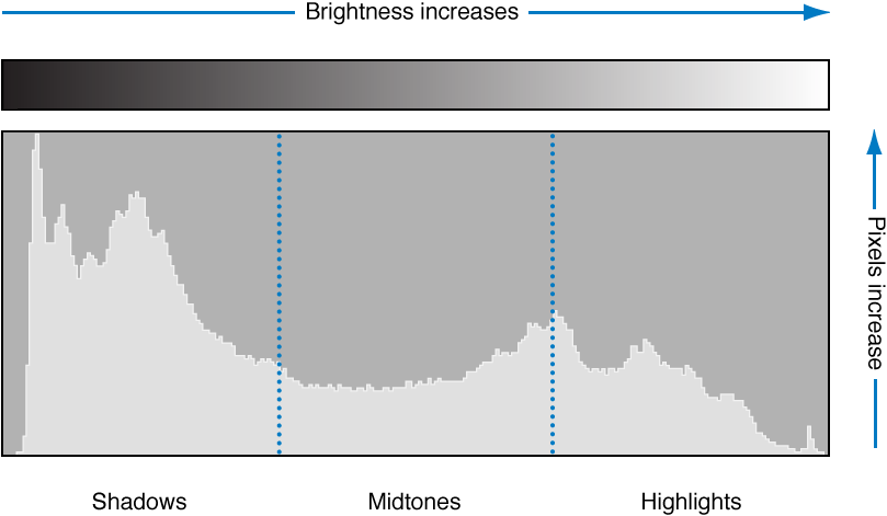 Figure. Illustration showing how a histogram graphs a pixel's luminosity according to its tonal position.