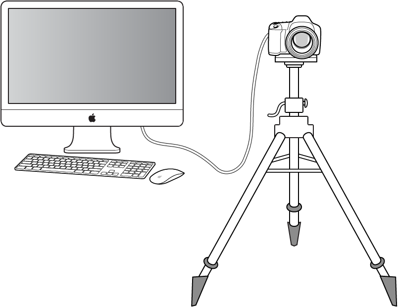 Figure. Illustration of a digital camera tethered to a computer.