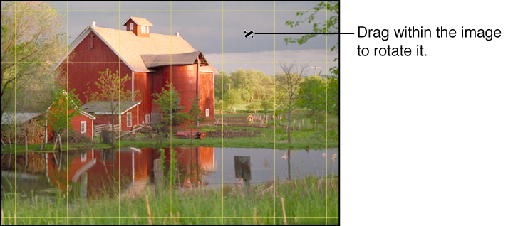 Figure. Image showing a yellow grid overlay appearing over the image to help you make the horizon perfectly level.