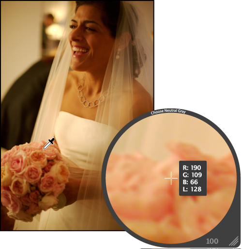 Figure. Loupe magnifying an area of the image with neutral gray pixels.