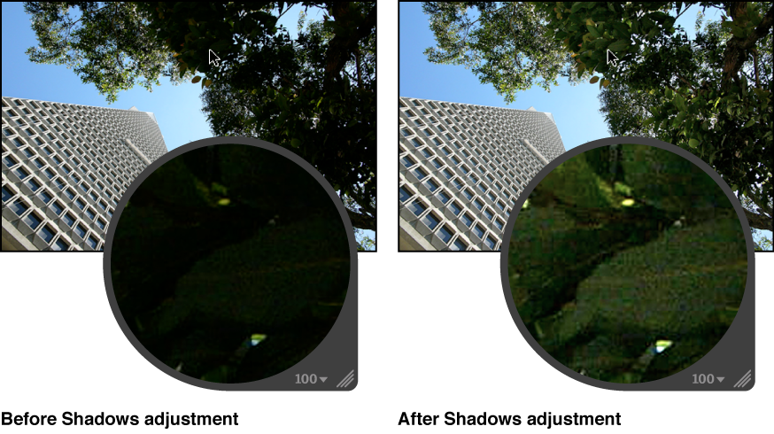 Figure. Image before and after a Shadows adjustment.