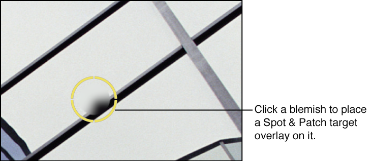 Figure. Image showing a yellow Spot & Patch target overlay placed over the blemish in the image.