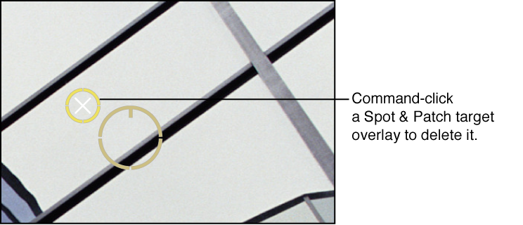 Figure. Image showing a white X appearing over the Spot & Patch target overlay to indicate that you can delete it.
