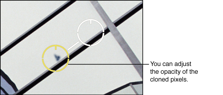 Figure. Image showing an Opacity adjustment to pixels within a Spot & Patch target overlay.