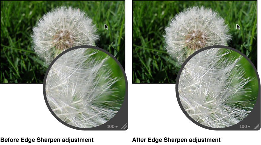 Figure. Image before and after an Edge Sharpen adjustment.