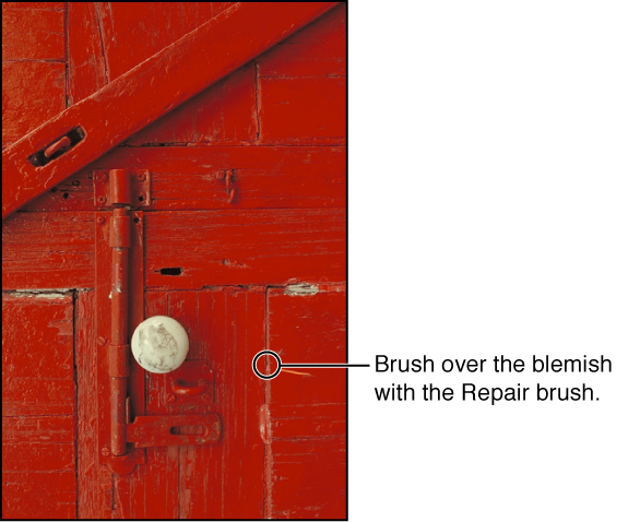 Figure. Image showing a circular overlay indicating the position of the Repair brush.