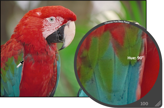 Figure. Loupe showing a magnified view of an area of green in the image.