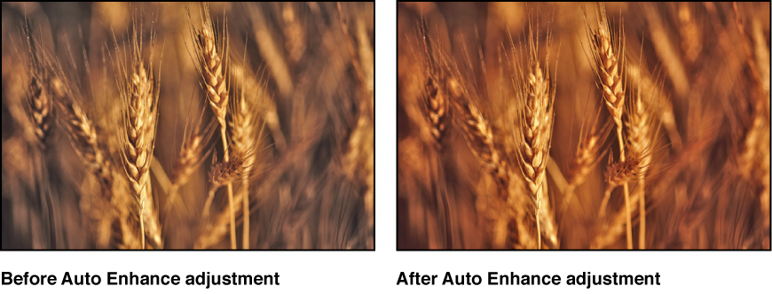 Before and after illustration of the Auto Enhance adjustment