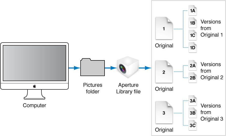 Figure. Diagram showing master files and their versions in the Aperture Library file, which is typically located in the Pictures folder on your computer.