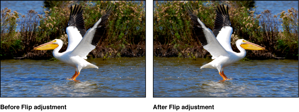 Figure. Image before and after a Flip adjustment.