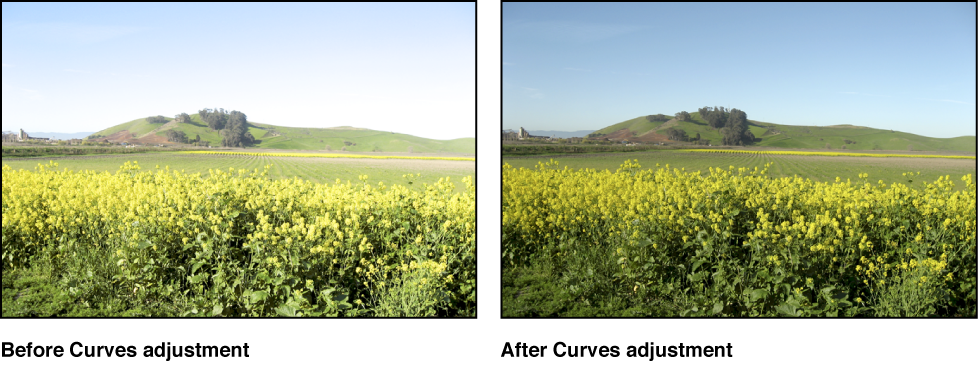 Figure. Image before and after a Curves adjustment.