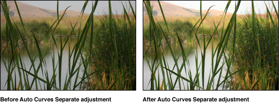 Figure. Image before and after an Auto Curves Separate adjustment.