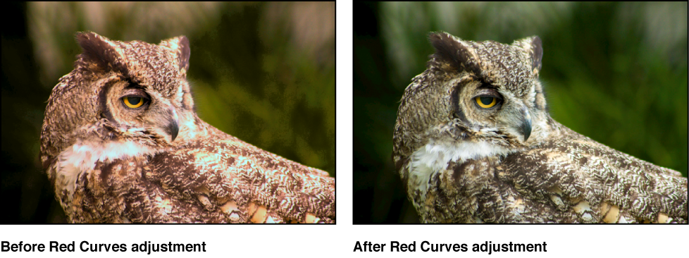 Figure. Image before and after a red tonal curve adjustment.