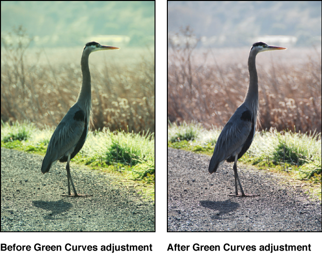 Figure. Image before and after a green tonal curve adjustment.