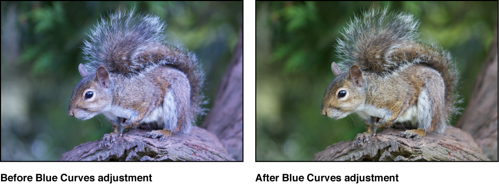 Figure. Image before and after a blue tonal curve adjustment.