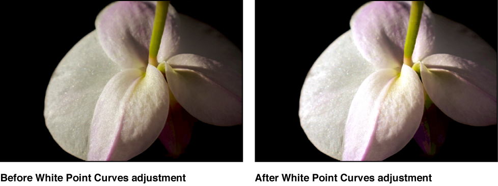 Figure. Image before and after a White Point Curves adjustment.