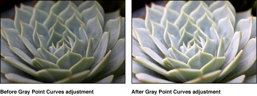 Figure. Image before and after a Gray Point Curves adjustment.