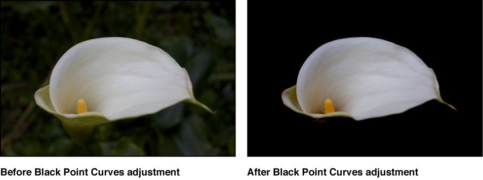 Figure. Image before and after a Black Point Curves adjustment.