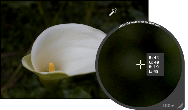 Figure. Loupe showing a magnified view of the darkest pixels in the image.