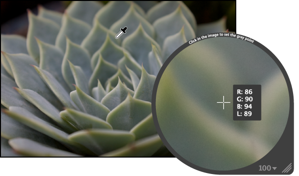 Figure. Loupe showing a magnified view of medium gray color pixels in the image.