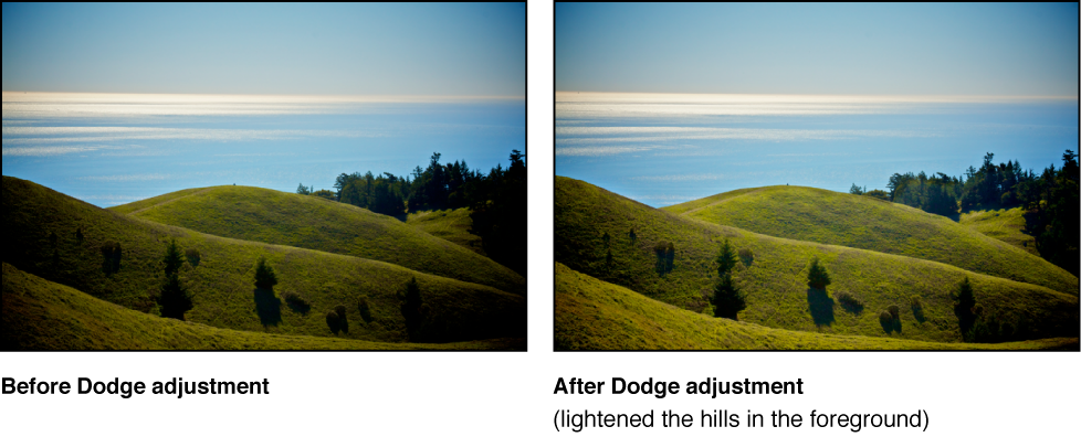 Figure. Image before and after a Dodge Quick Brush adjustment.