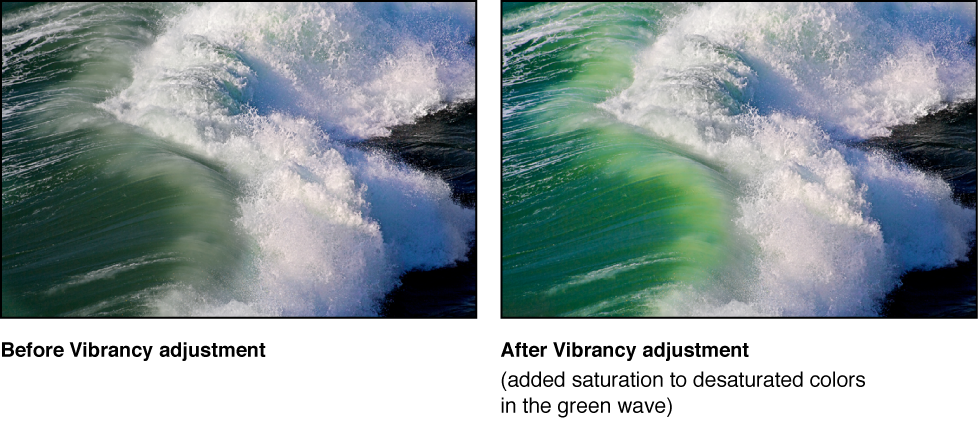 Figure. Image before and after a Vibrancy Quick Brush adjustment.