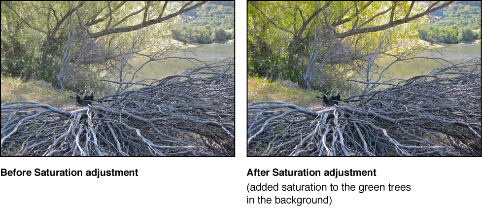 Figure. Image before and after a Saturation Quick Brush adjustment.