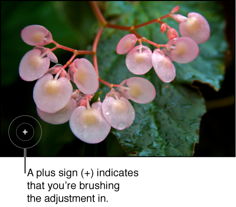 Figure. Image showing a circular overlay with a plus sign indicating the position of the brush and that the adjustment is being brushed in.
