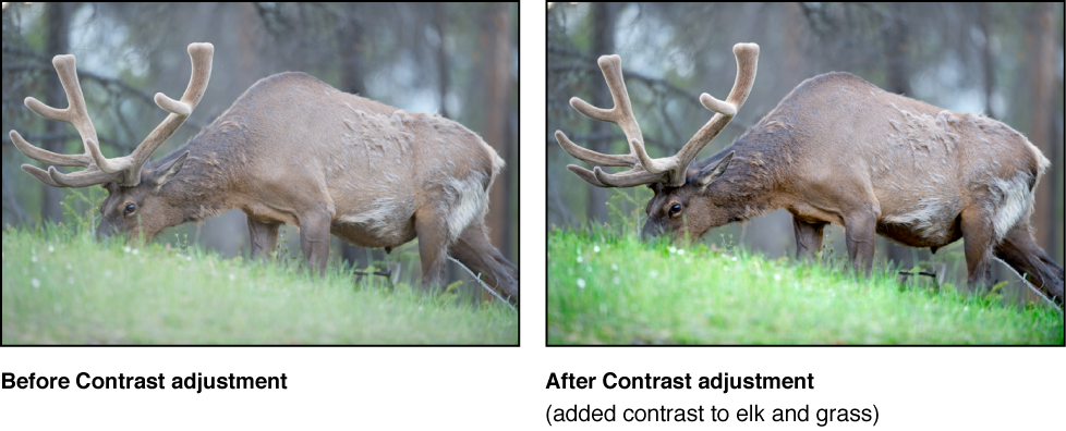 Figure. Image before and after a Contrast Quick Brush adjustment.