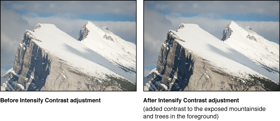 Figure. Image before and after an Intensify Contrast Quick Brush adjustment.