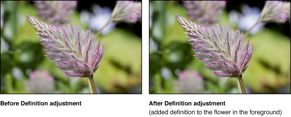 Figure. Image before and after a Definition Quick Brush adjustment.