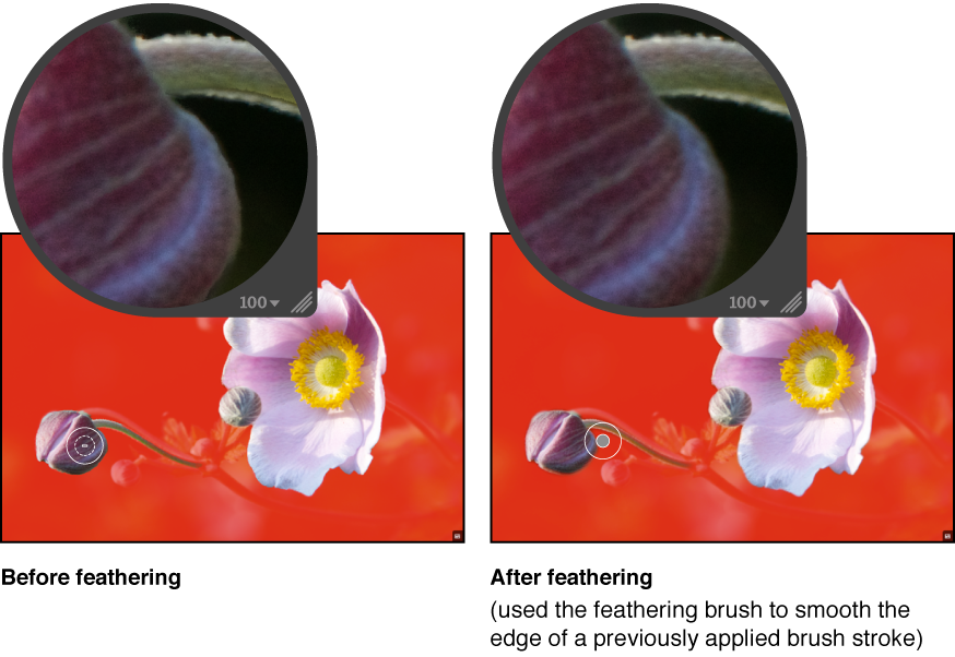 Figure. Image before and after the edge of a previously applied brush stroke has been smoothed with the feathering brush.