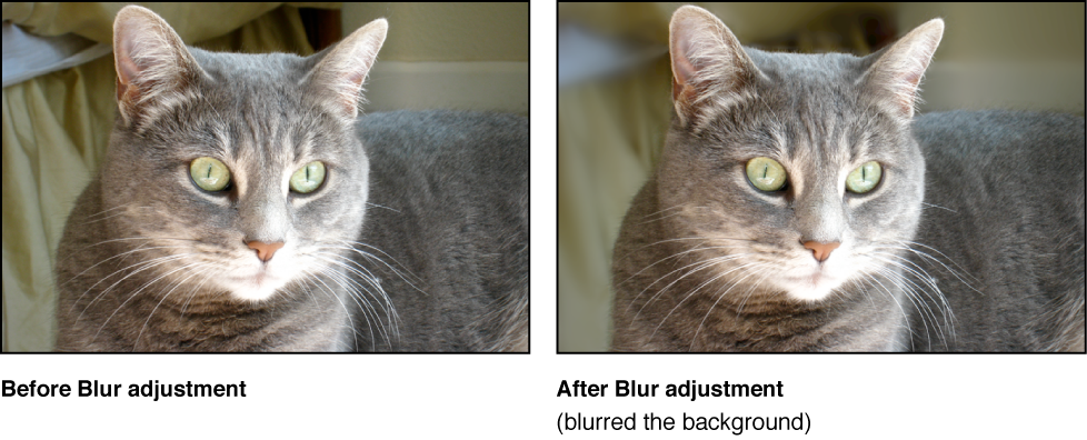 Figure. Image before and after a Blur Quick Brush adjustment.