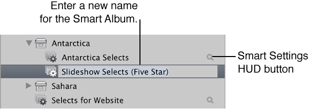 Figure. New Smart Album in the Library inspector.