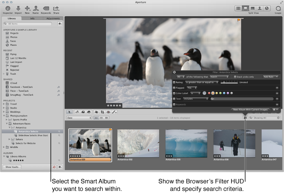 Figure. Aperture main window showing a Smart Album selected in the Library inspector and search criteria specified in the Browser's Filter HUD.