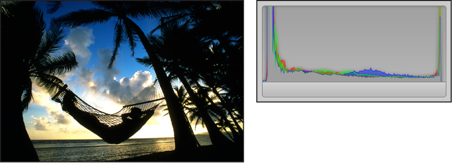 Figure. Side-by-side comparison of an image shot in silhouette and its histogram, with the peaks concentrated in both the left and right sides of the graph and no activity present in the middle.