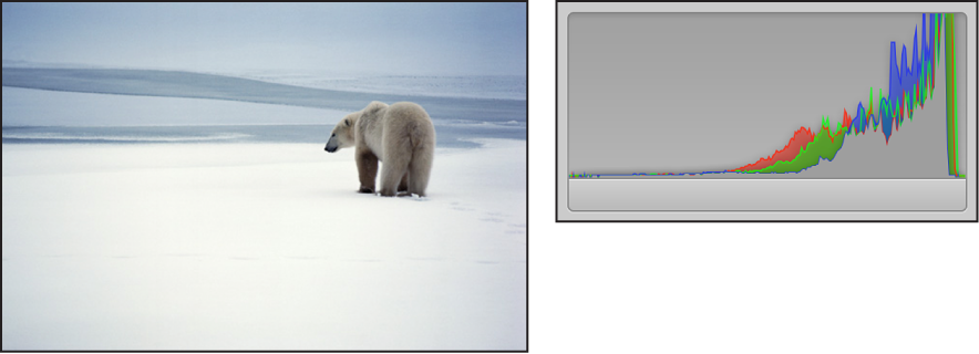 Figure. Side-by-side comparison of a bright image and its histogram, with the peaks concentrated in the right side of the graph.