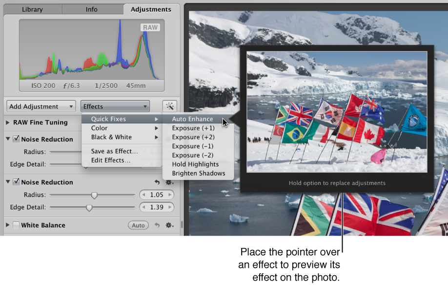 Figure. Effects pop-up menu showing effect options and a preview of an effect applied to an image.
